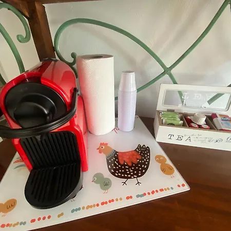 Domvs Flavia Apartmán *