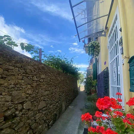 Domvs Flavia 아파트 *